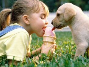 dívka sní zmrzlinu se psem a nakazí se parazity